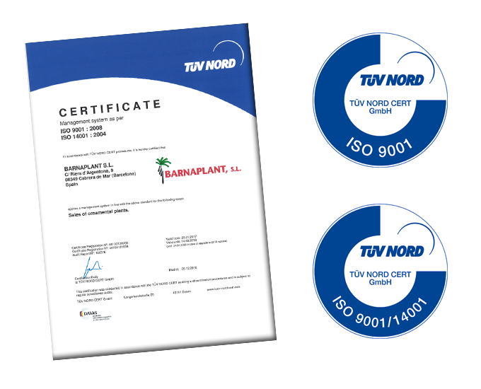 Certificado Norma Iso