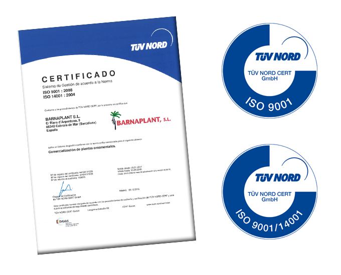 Certificado Norma Iso